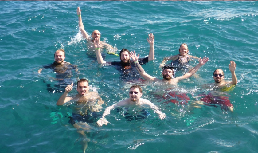 Eight automatticians swimming in the carribean