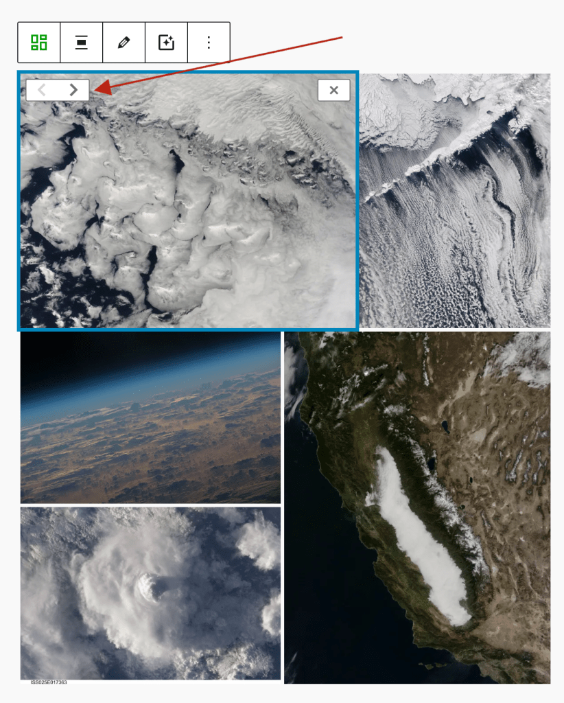 Screenshot of a Tiled Gallery with one image selected. The image has right/left arrows to move it, and an `X` to remove it from the gallery. 