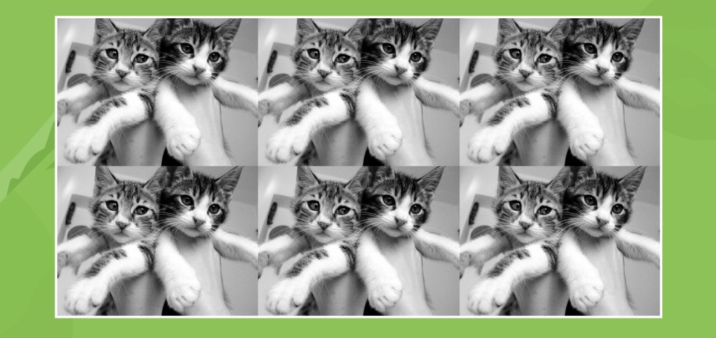 Hook of the Month: Customize Related&nbsp;Posts