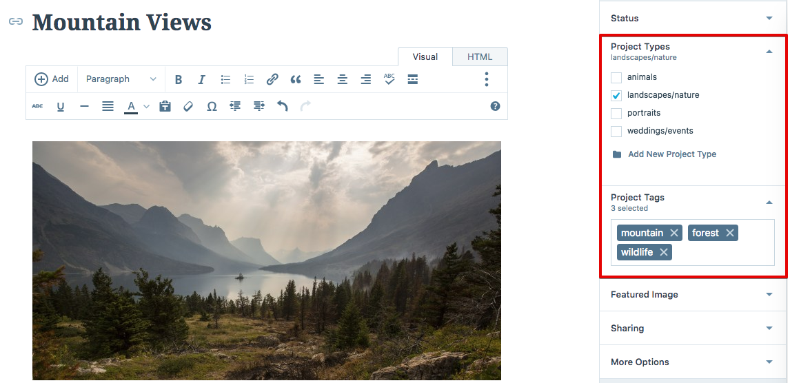 A portfolio preview