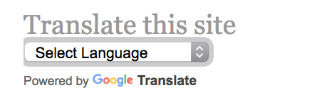 The Google Translate widget for WordPress