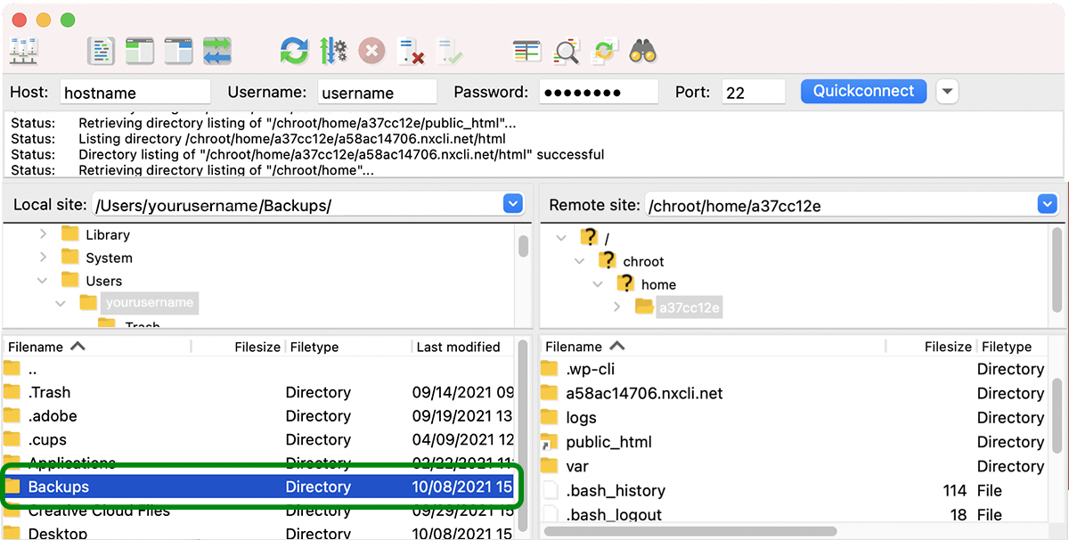 new Backups folder highlighted in FileZilla