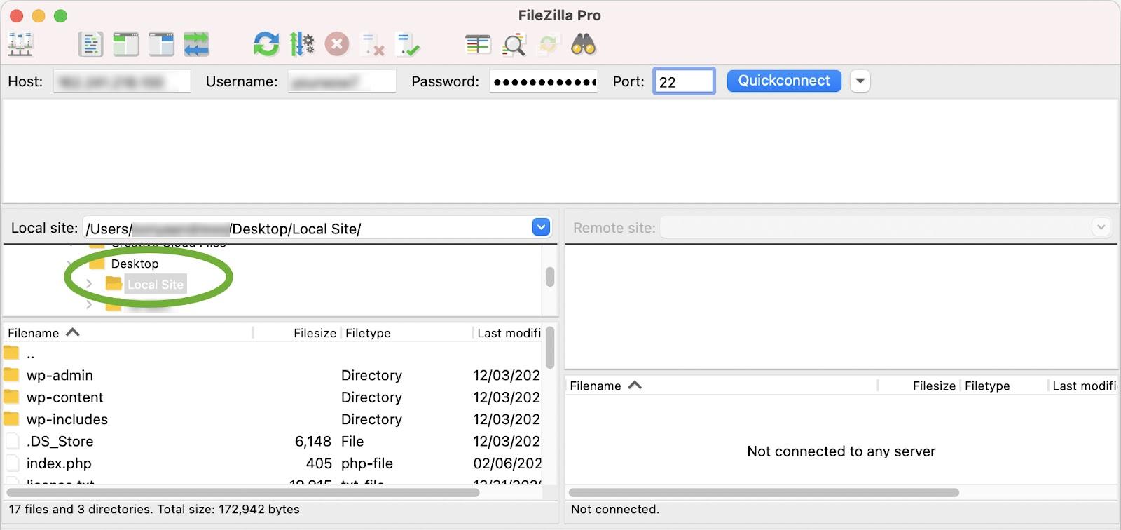 Local Site directory circled in the left-hand panel
