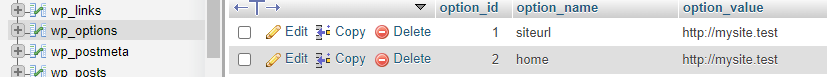 wp_options table in the database