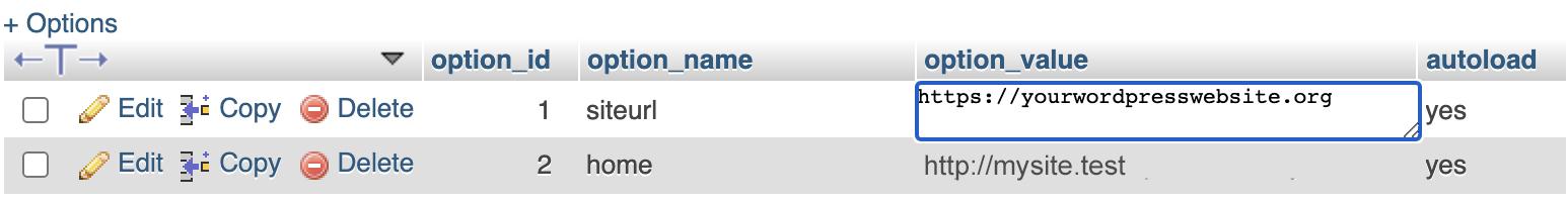 option_value with WordPress URL