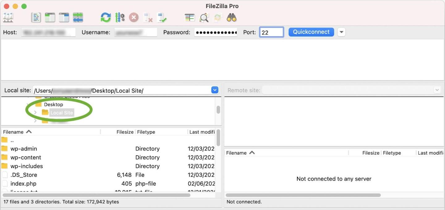 How to Move a WordPress Site from Localhost to Live Server