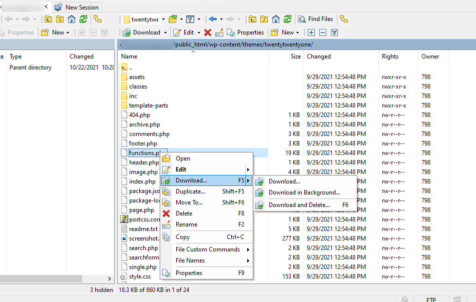 the functions.php file in WordPress files