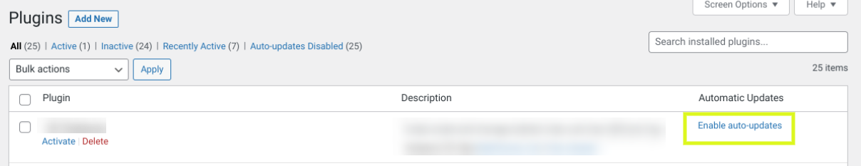 enabling auto-updates in WordPress