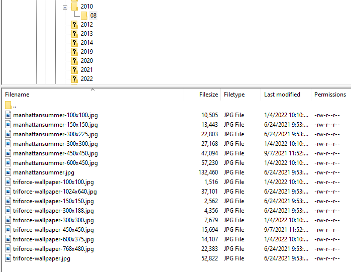 carpetas del directorio uploads