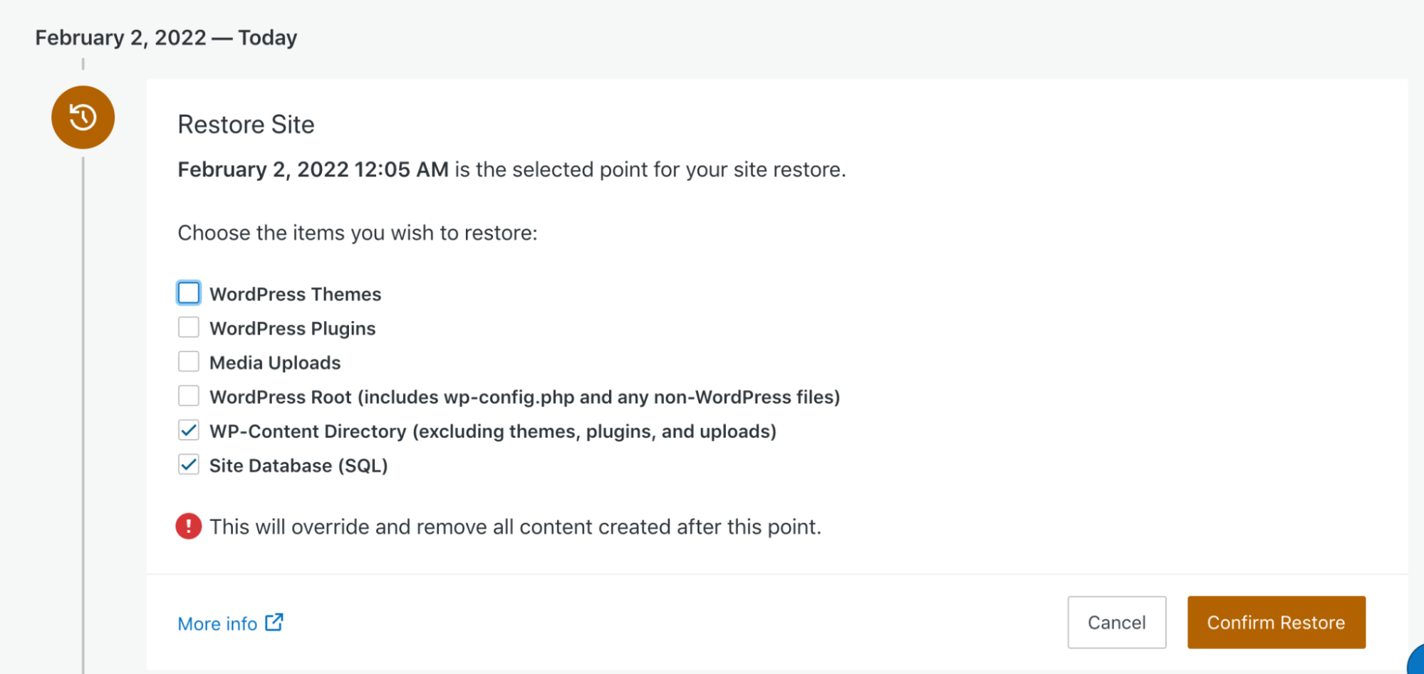 choosing what to include in a website restore