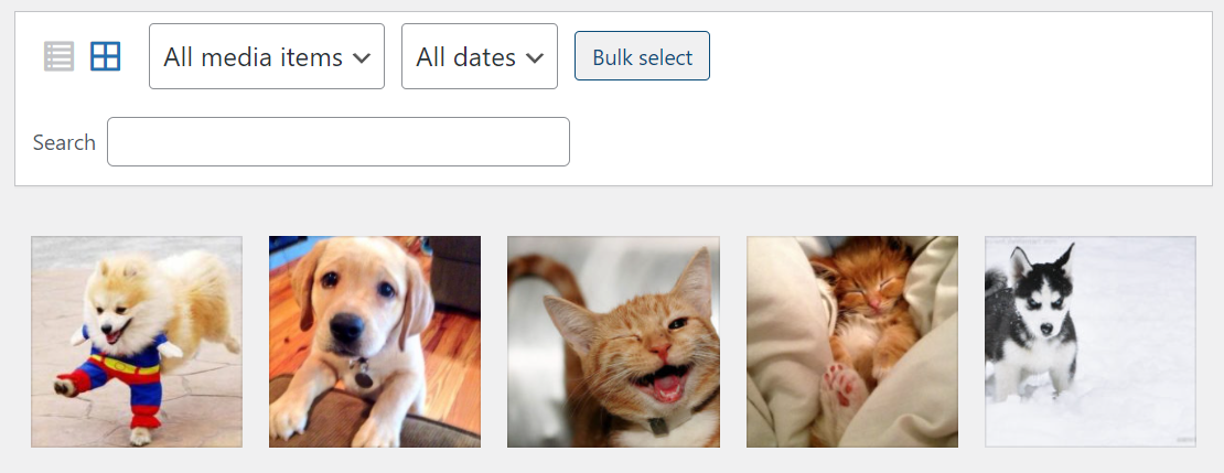 search bar for images