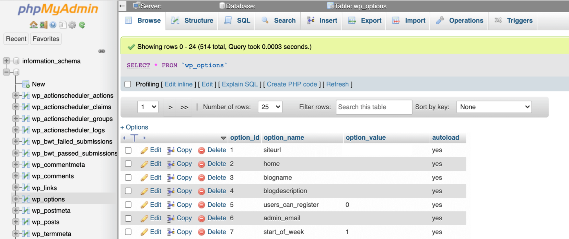 wp_options table in phpMyAdmin