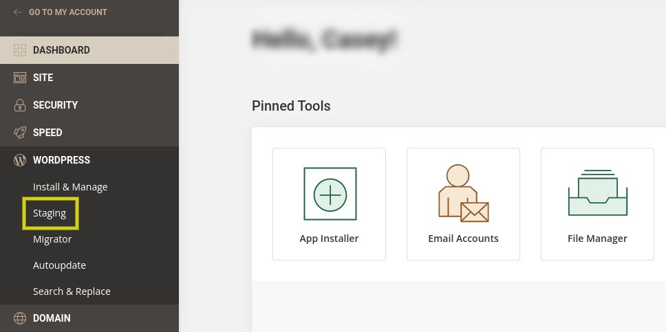 creating a staging site in a hosting environment