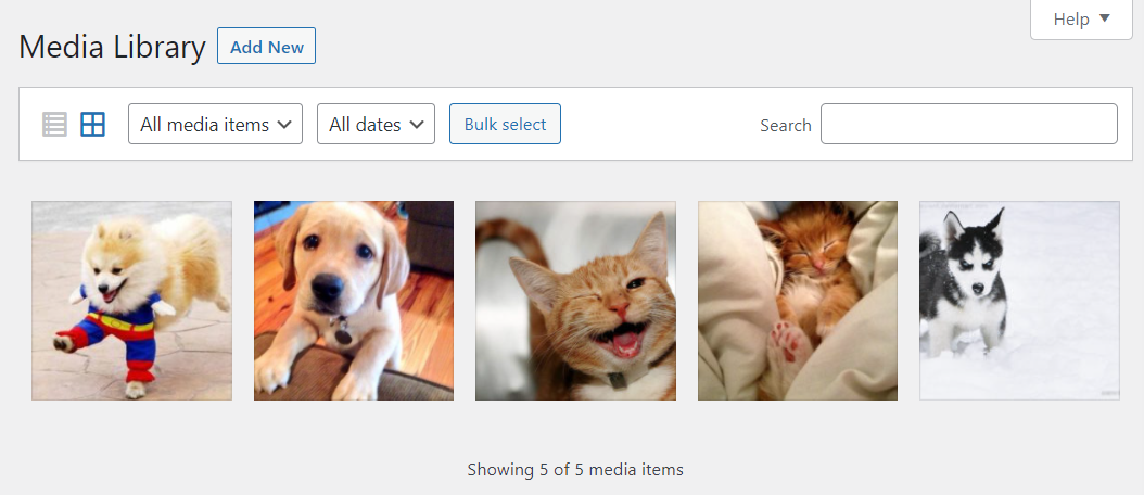 the WordPress media library