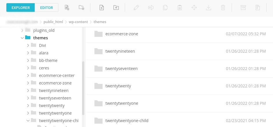 themes folder accessed via FTP