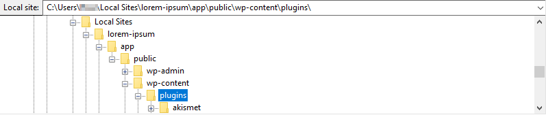 wp-content/download/ folder via FTP