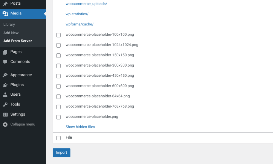 list of media files available 