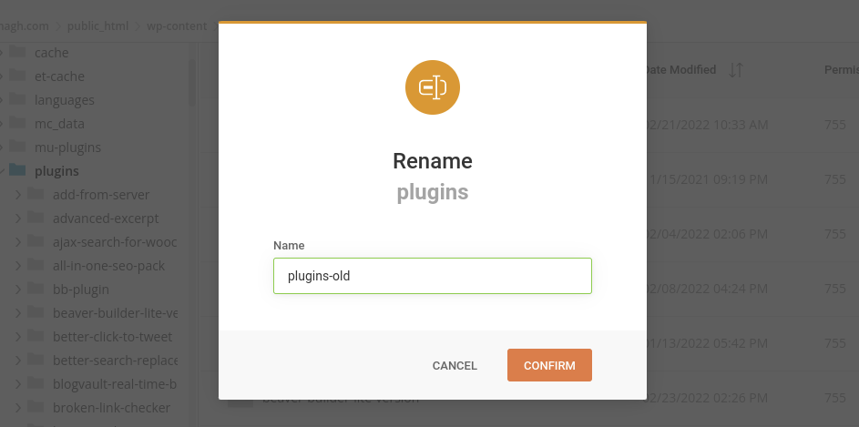 renaming the plugins folder