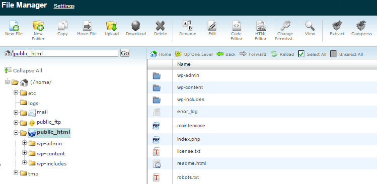finding the .maintenance file in cpanel