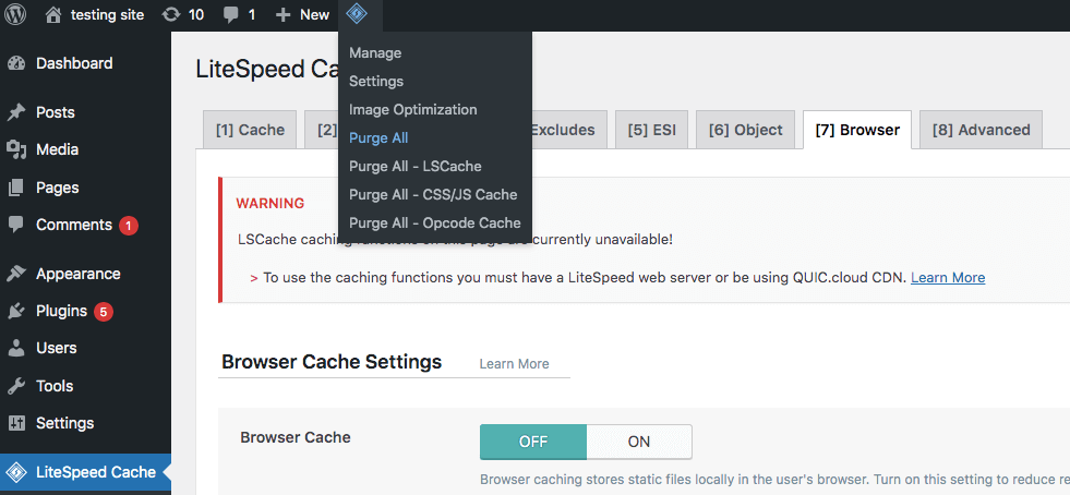 clearing your cache with LiteSpeed Cache