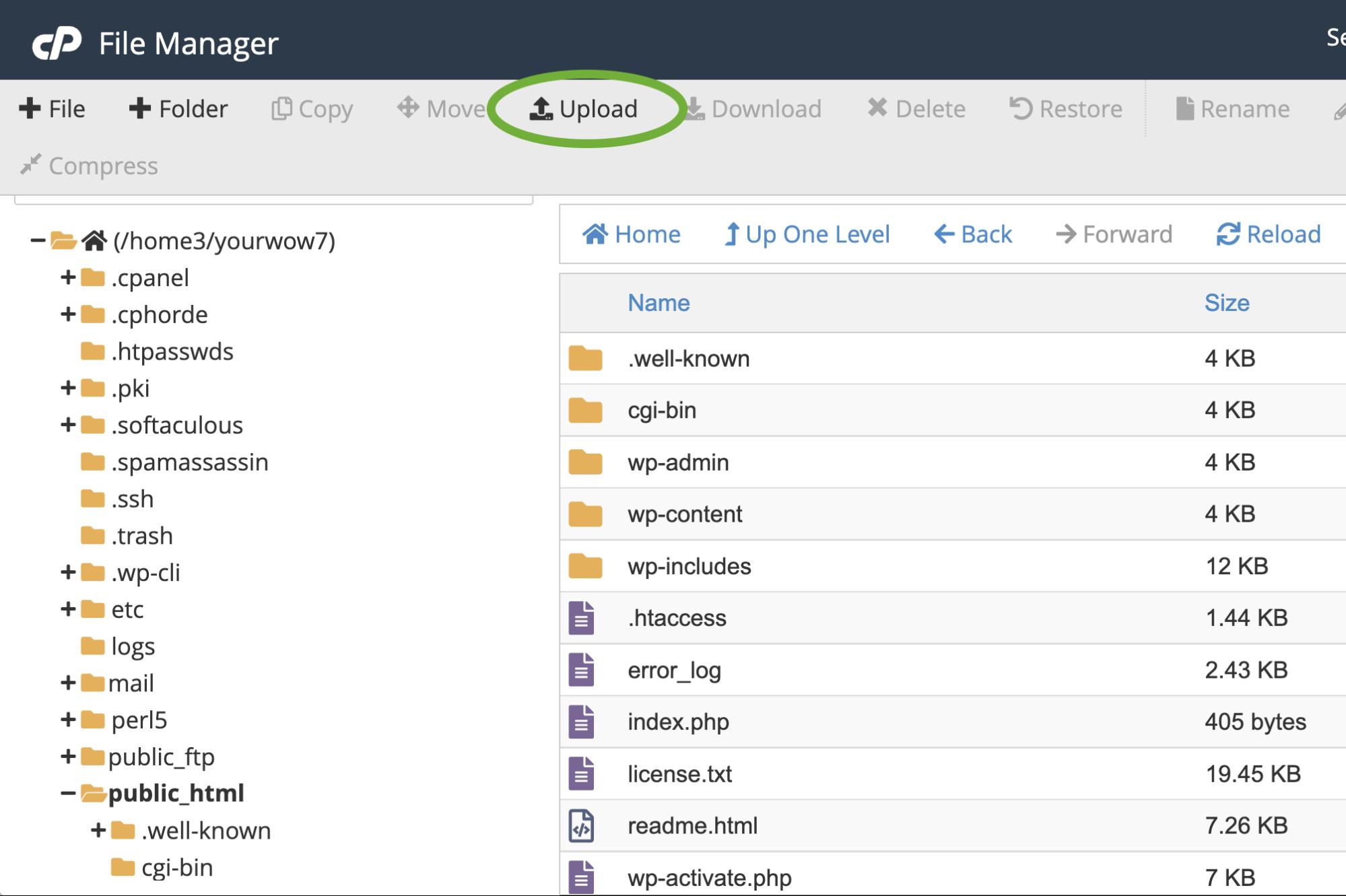 uploading a file via cpanel