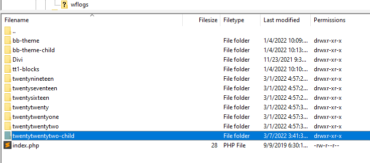 child theme shown in the root directory