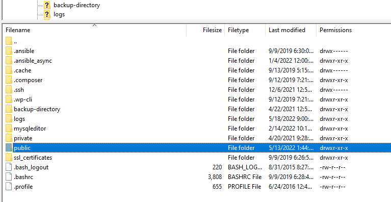 root directory shown in Filezilla