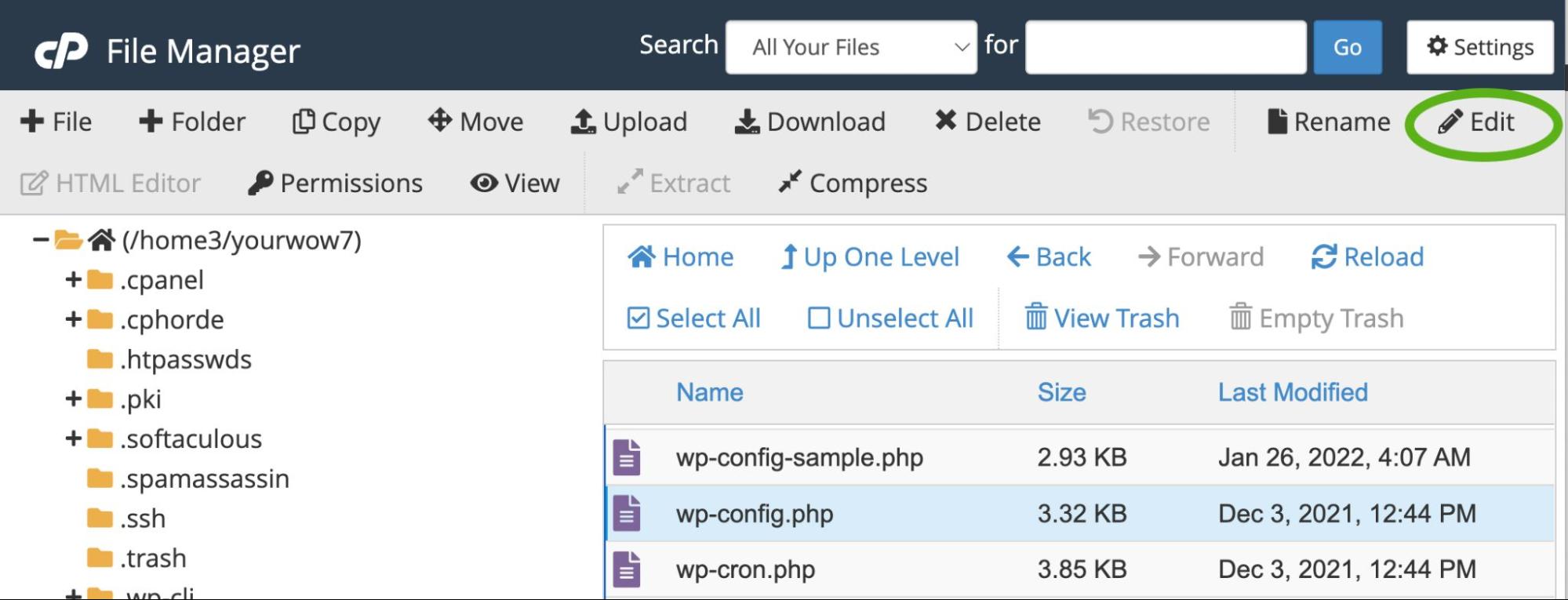 editing via cpanel tools
