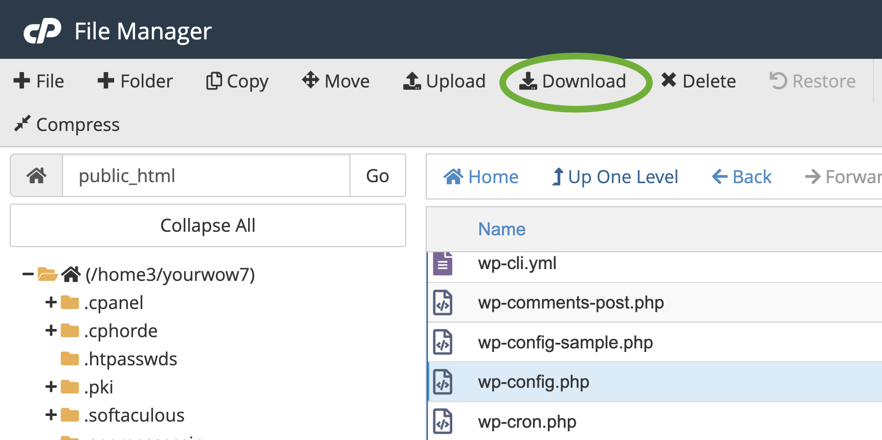 dowloading wp-config.php from cpanel