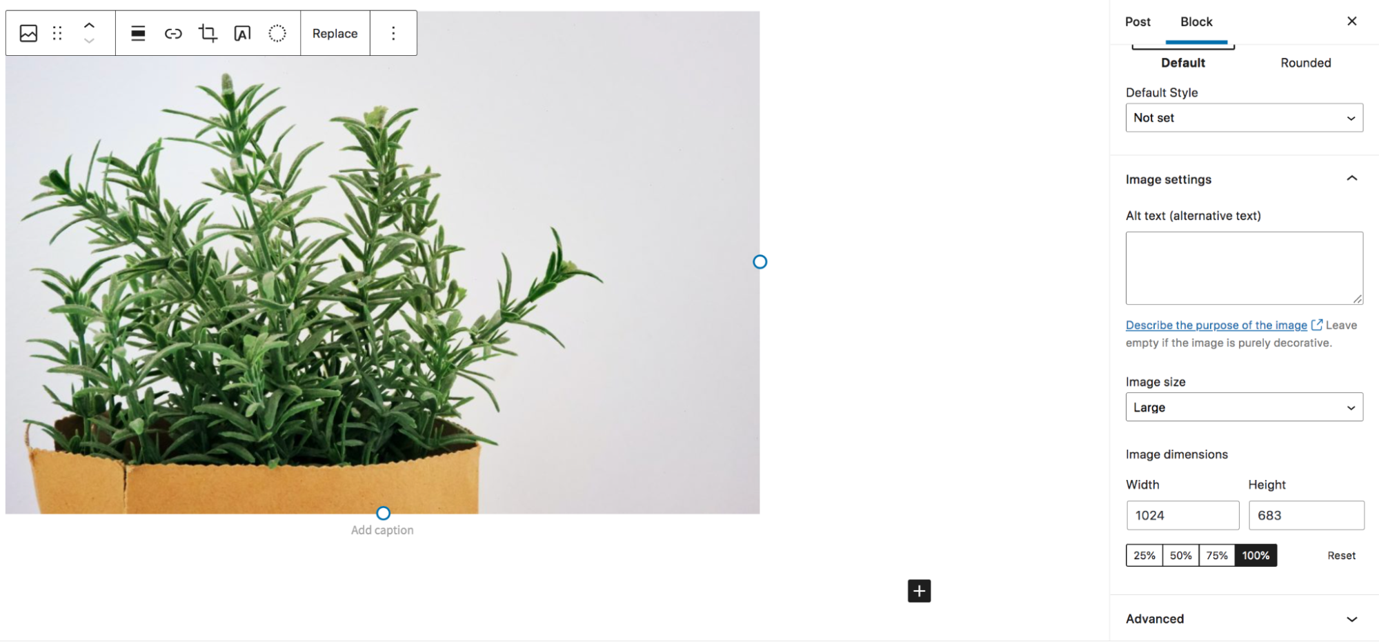 setting dimensions for an image in WordPress