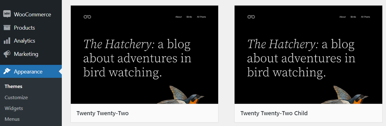 theme and child theme shown in the dashboard