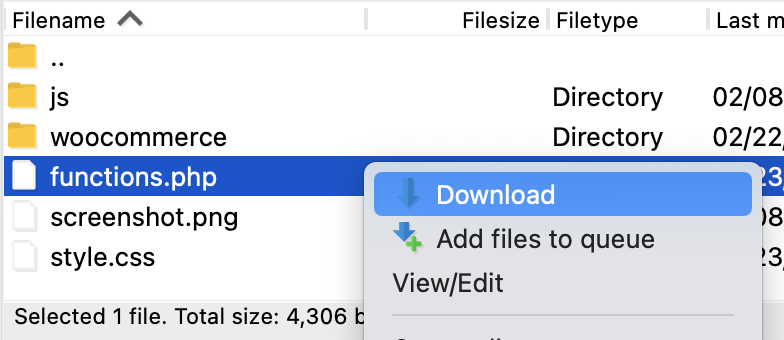 downloading the functions.php file from Filezilla