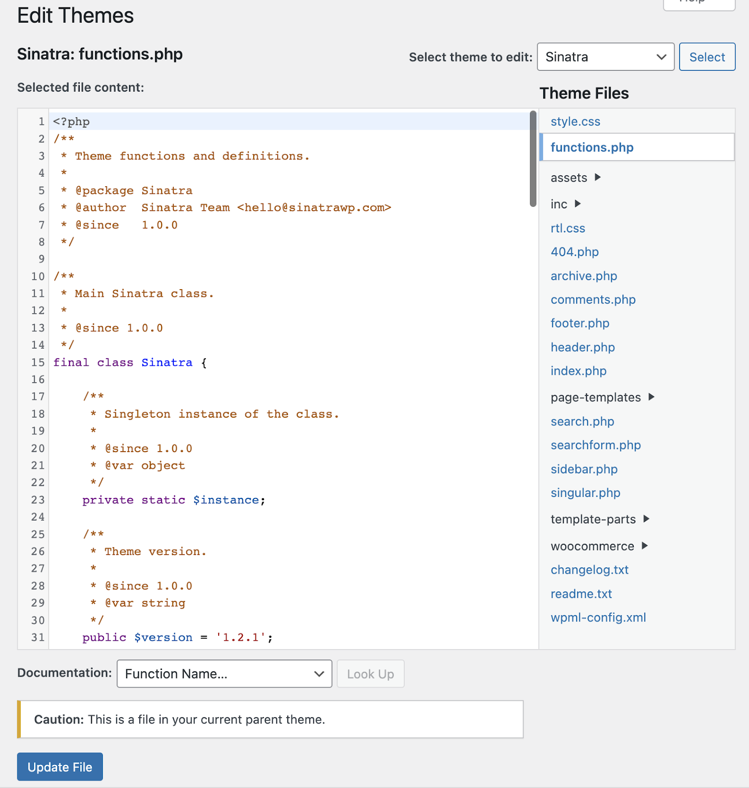 Finding the functions.php file in the WordPress admin dashboard