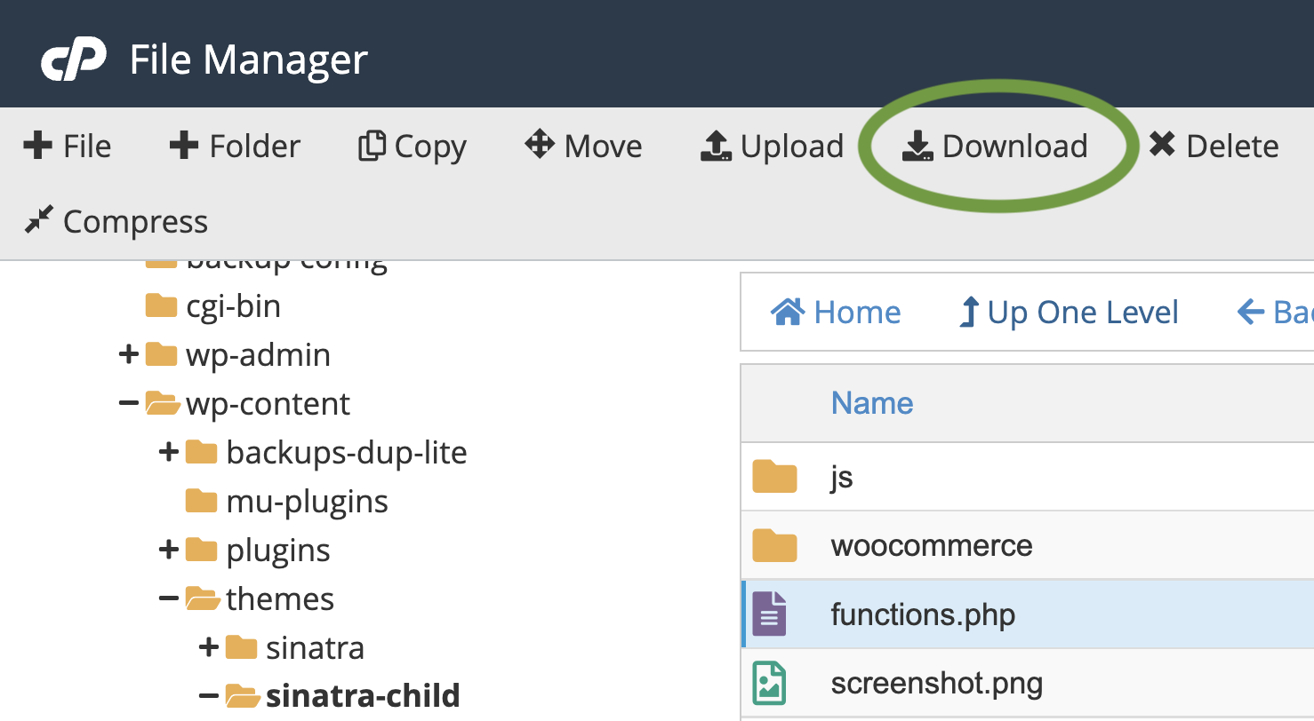 downloading the functions.php file from cpanel