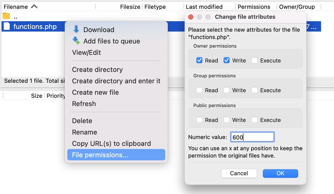 setting permissions for the functions.php file