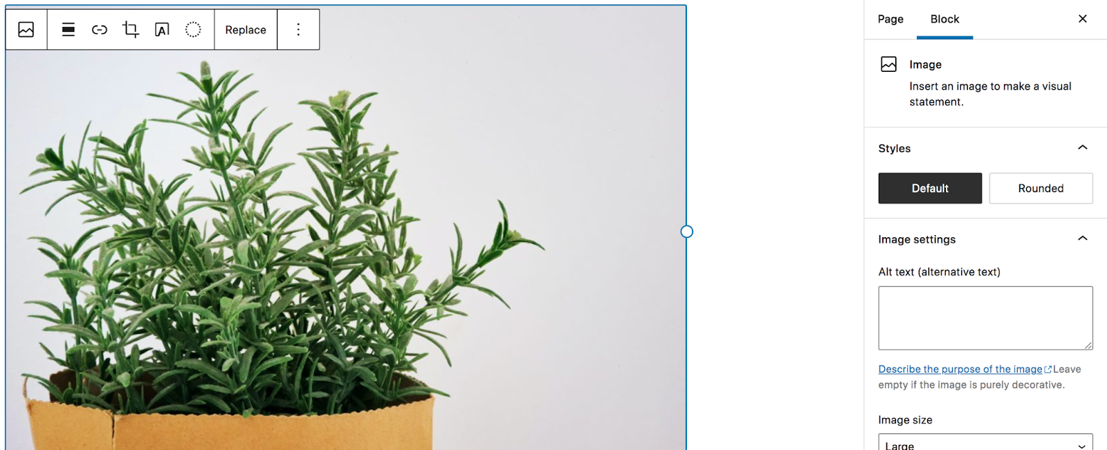 block settings in WordPress