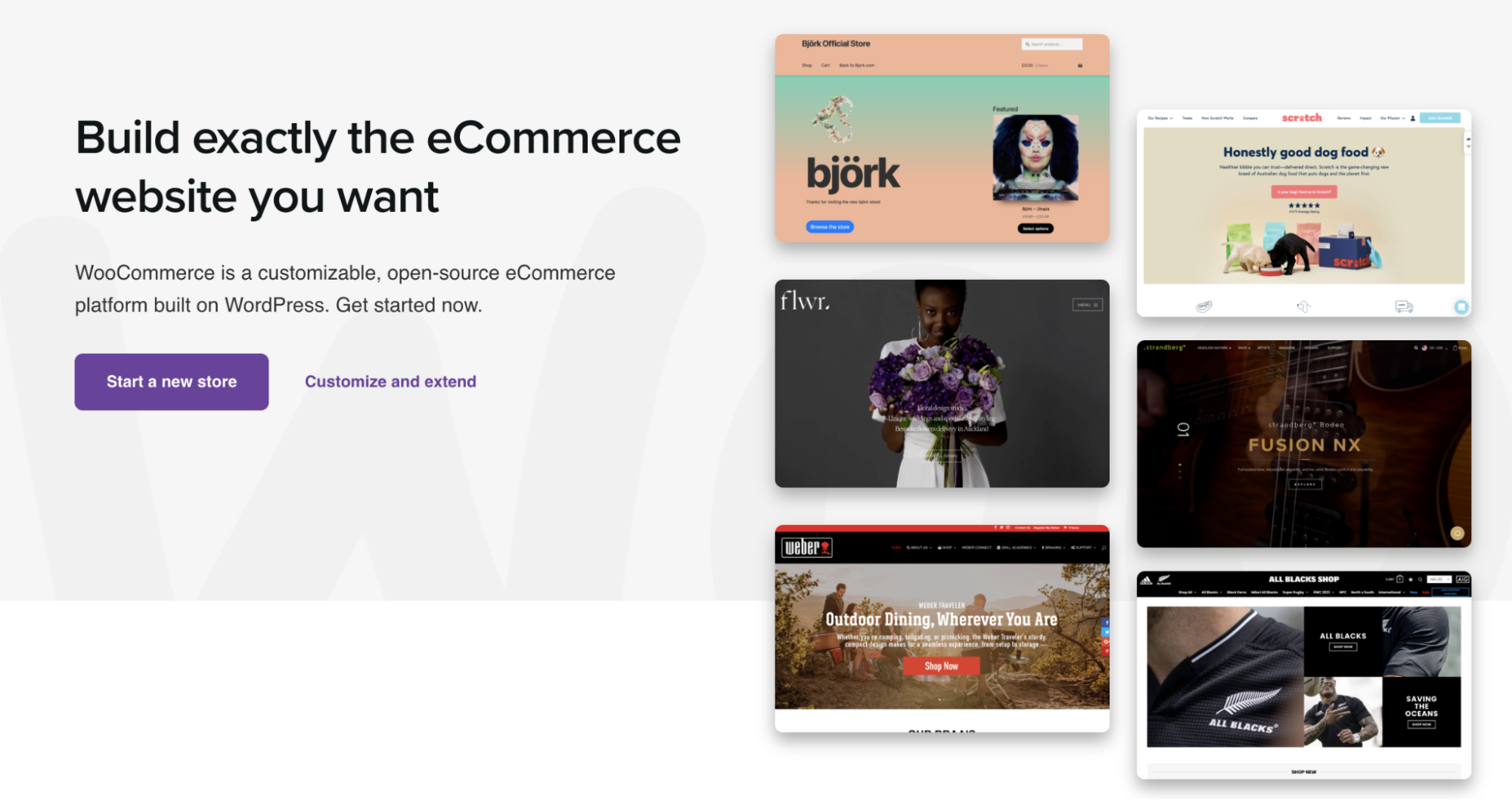 WooCommerce homepage
