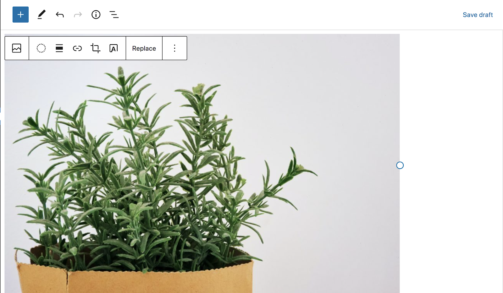 options available for the Image block