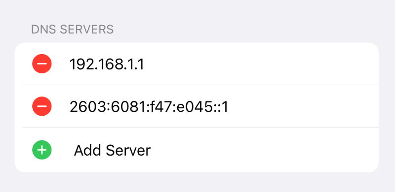adding a server in DNS settings