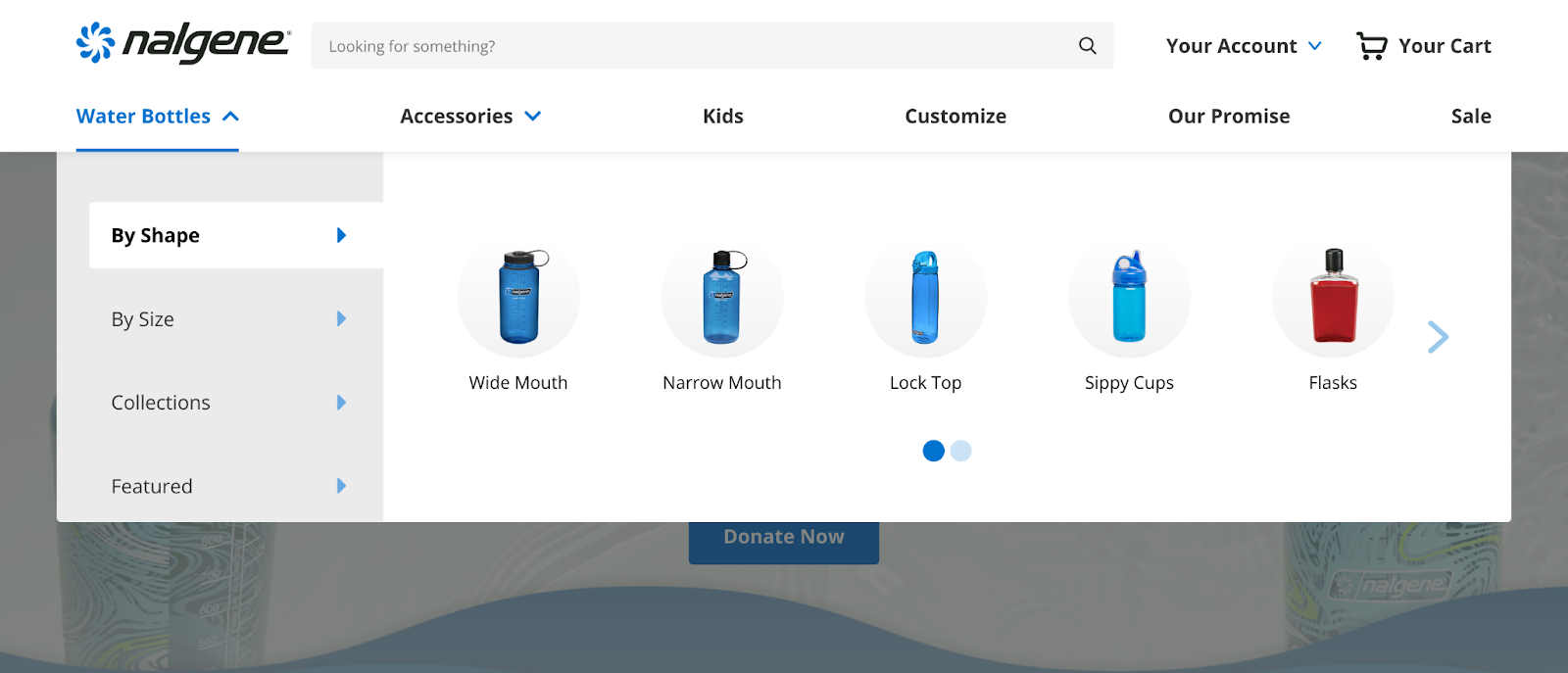 mega menu on the Nalgene site