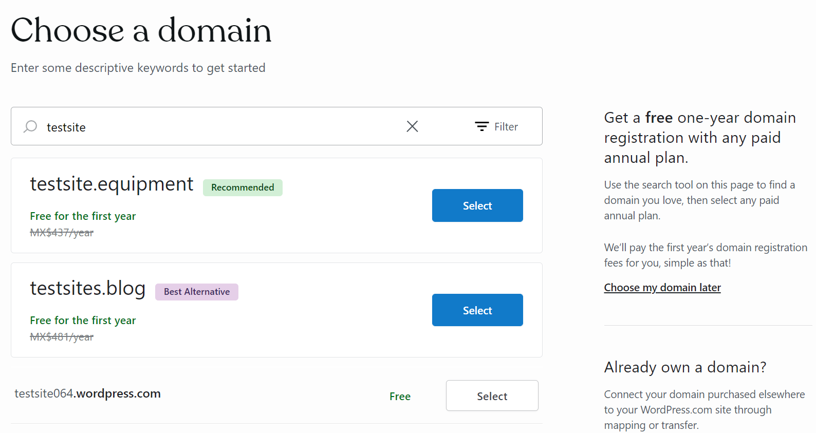 selecting a domain name