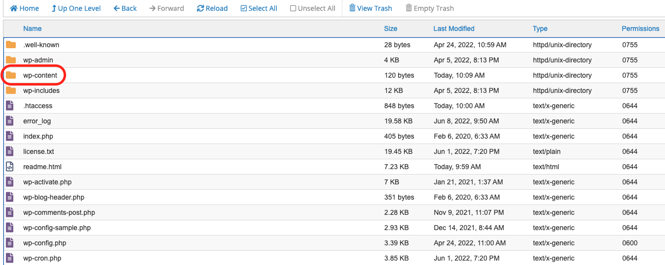 wp-content folder highlights in cPanel