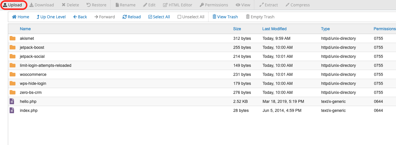 Upload button highlighted in cPanel