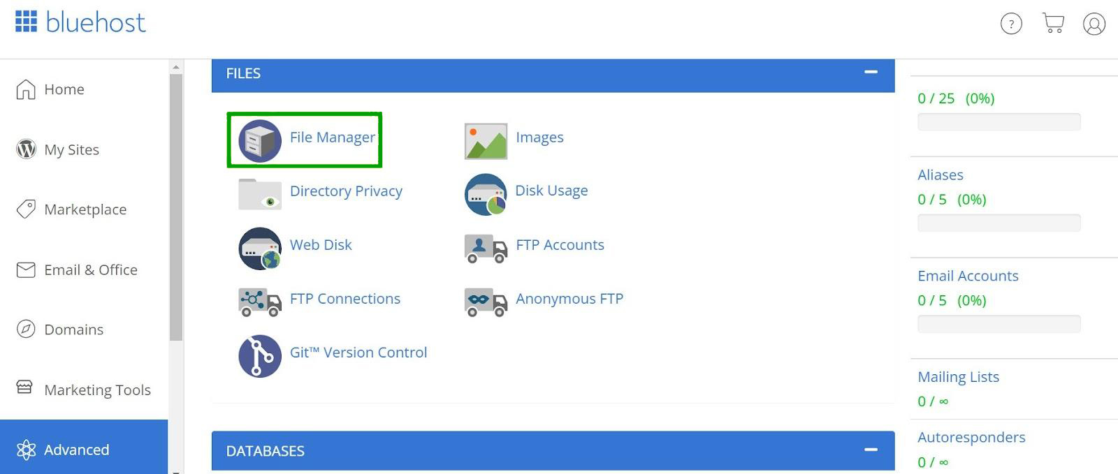 selecting the File Manager option