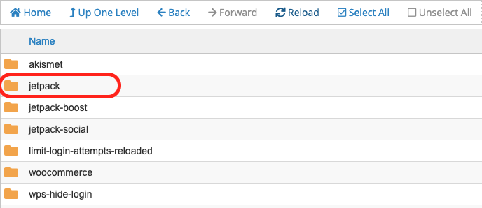 Jetpack plugin circled in file manager