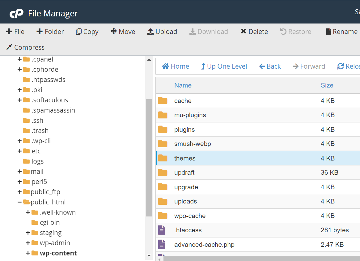 Themes folder inside of wp-content