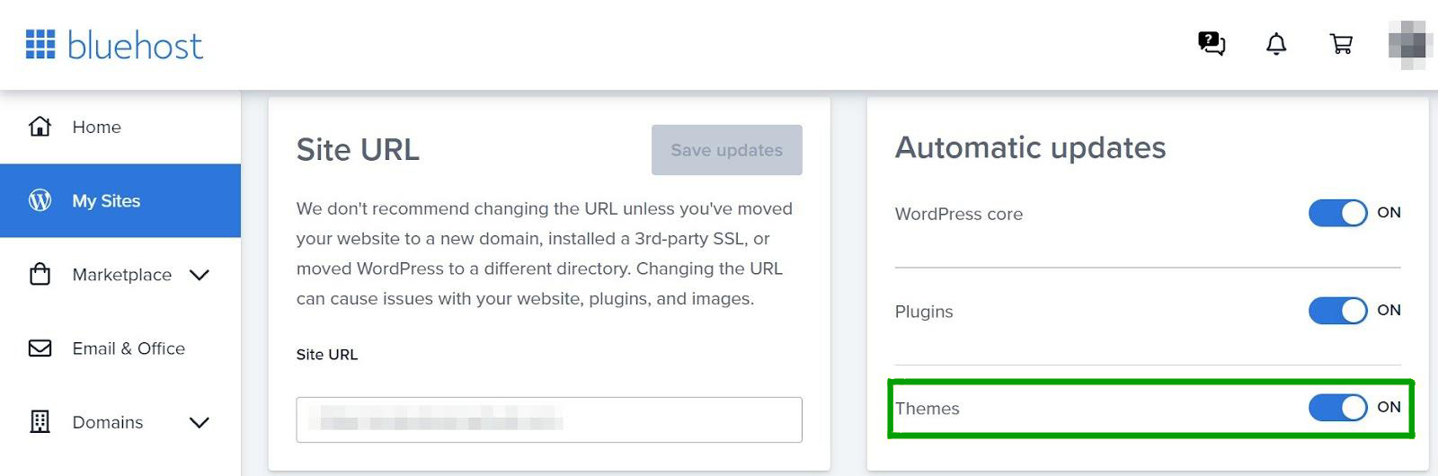 turning on automatic theme updates within Bluehost