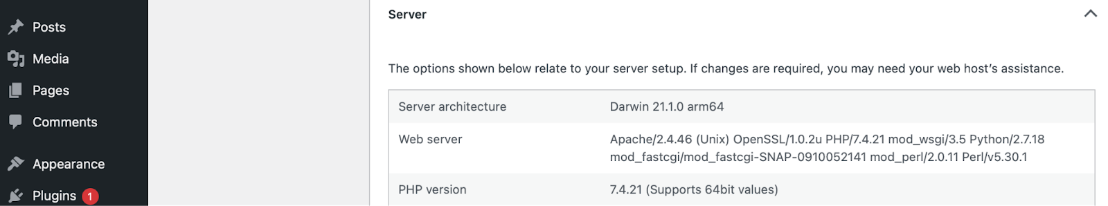 server information inside of WordPress site health