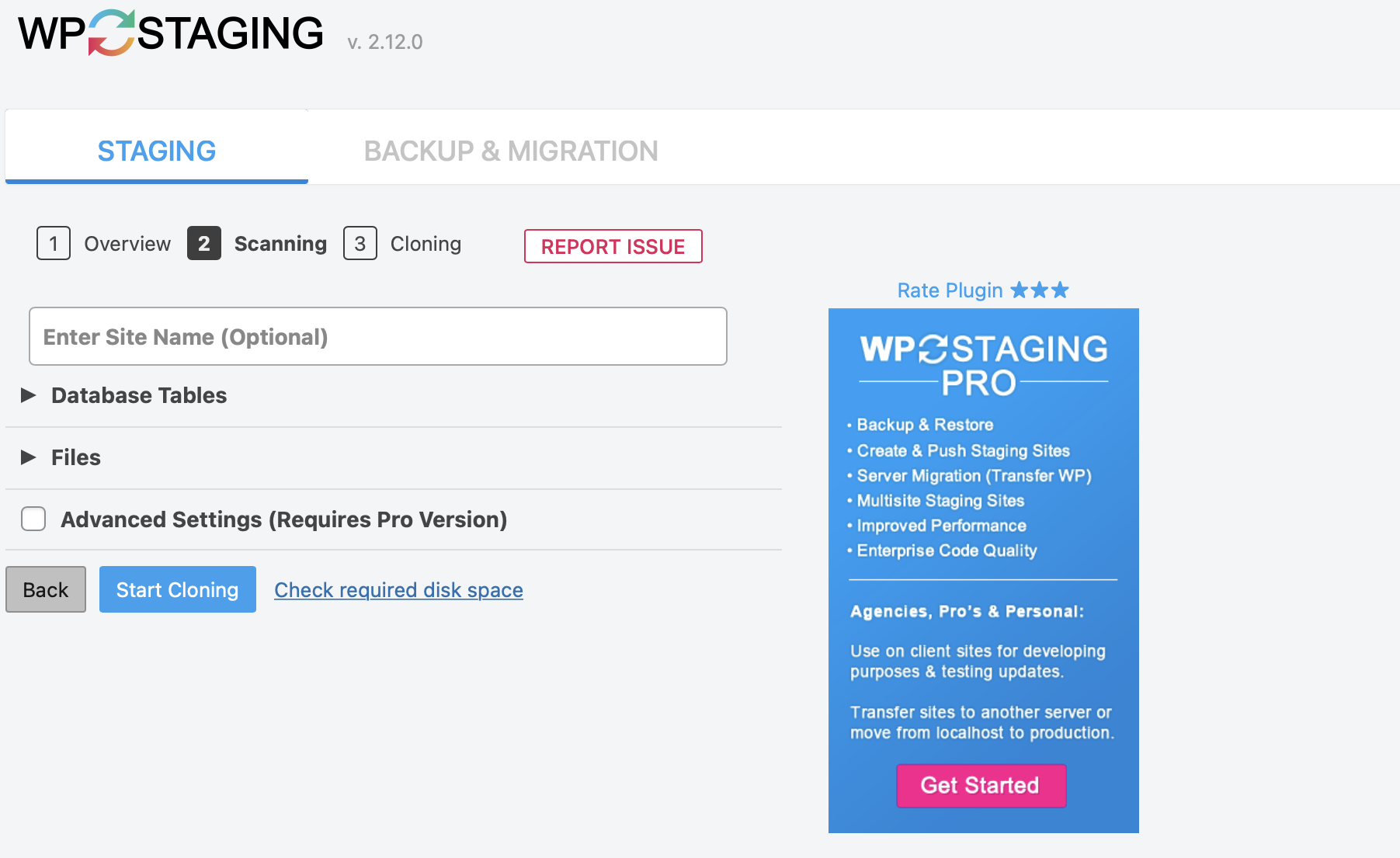 settings for the WP Staging plugin
