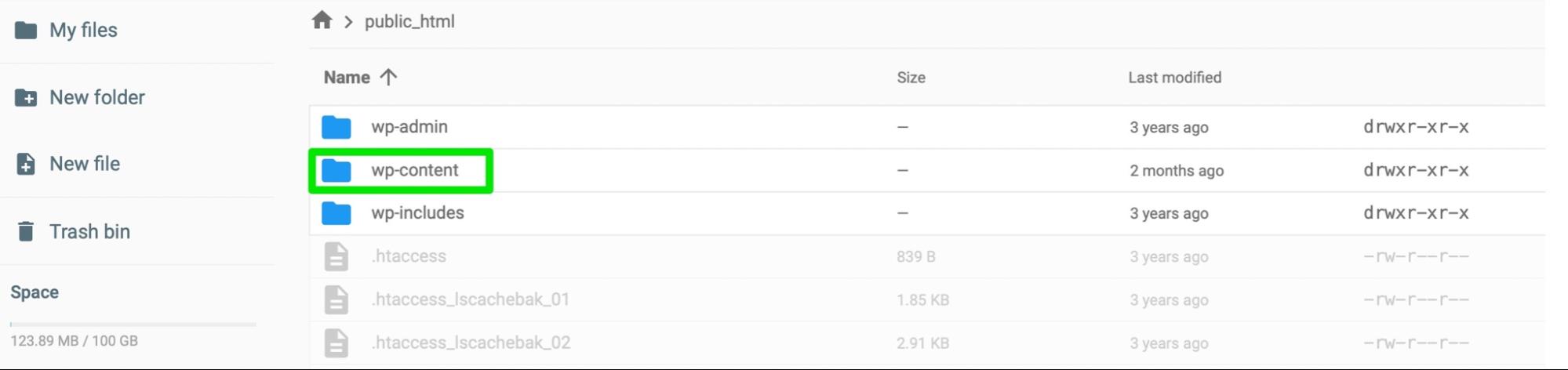 the wp-content folder outlined in green